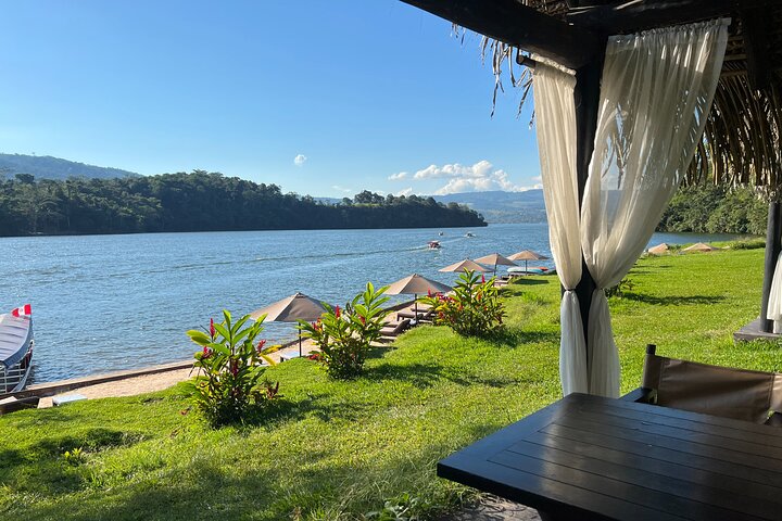 BLUE WILLOW LAGOON + Boat Trip + Panoramic Viewpoint – Tarapoto