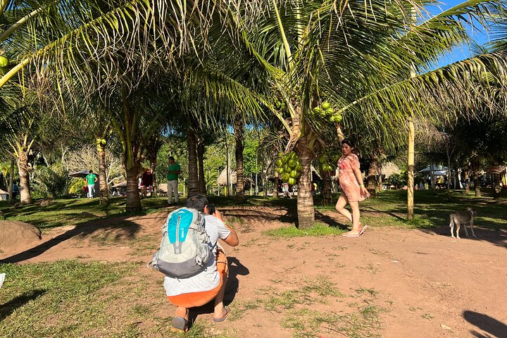 BLUE WILLOW LAGOON + Boat Trip + Panoramic Viewpoint – Tarapoto