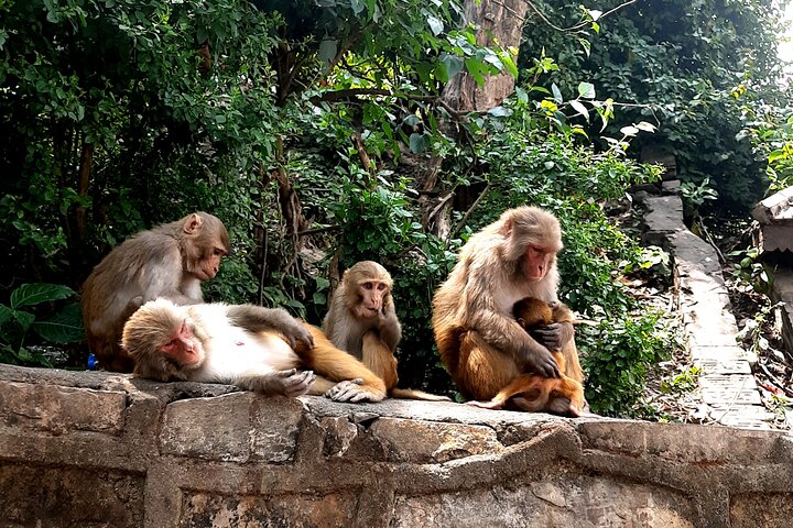 Kathmandu 2, 4 or 7 UNESCO Sites Private Day Tour