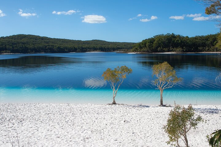 K'gari (Fraser Island) All Inclusive Day Tour