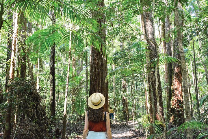 K'gari (Fraser Island) All Inclusive Day Tour