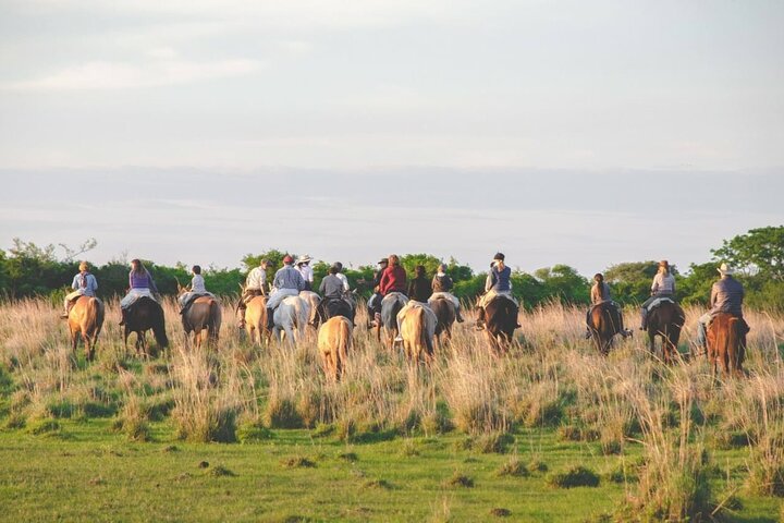 Gaucho Experience in Corrientes: Land of Horses and Tradition