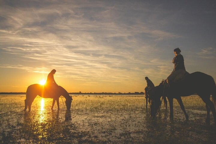 Gaucho Experience in Corrientes: Land of Horses and Tradition
