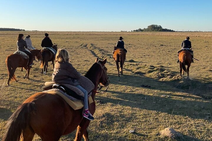 Gaucho Experience in Corrientes: Land of Horses and Tradition