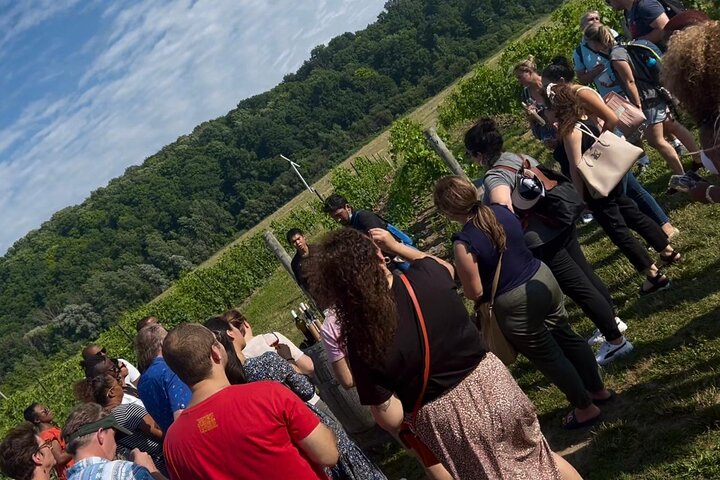 Niagara Falls Day Tour Includes Boat Cruise, Winery Stop & Lunch