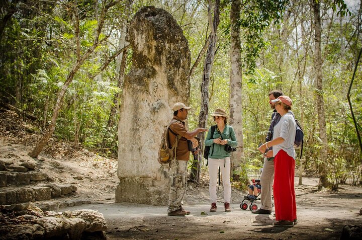 Calakmul Ancient Maya City Tour - From Campeche