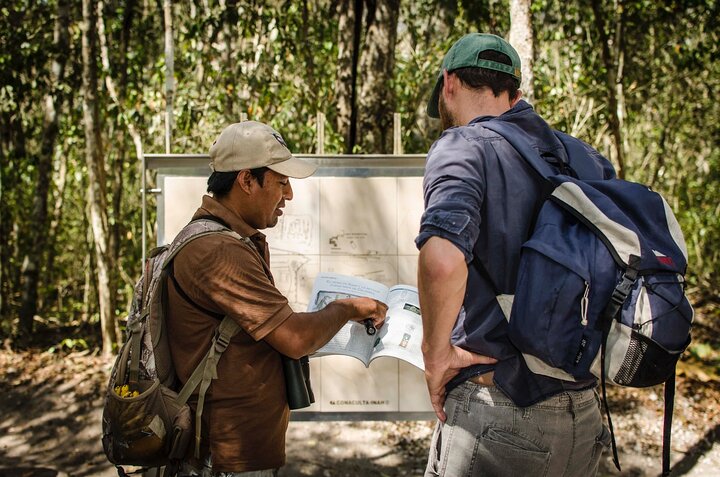 Calakmul Ancient Maya City Tour - From Campeche