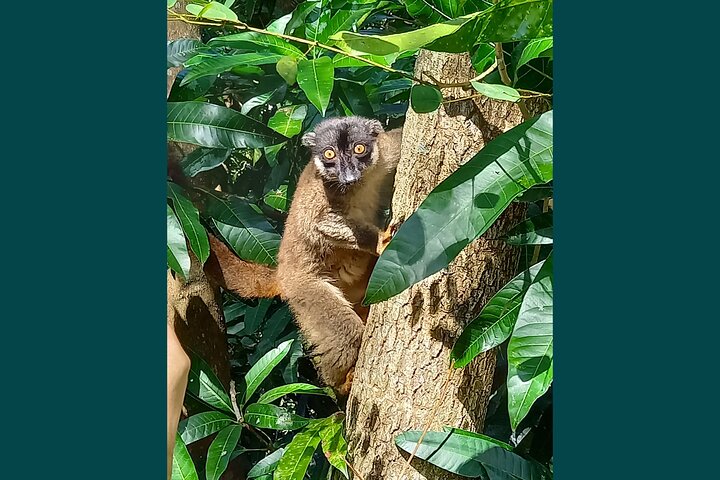 Full-Day Exclusive Private Tour to Nosy Tanikely Marine Reserve
