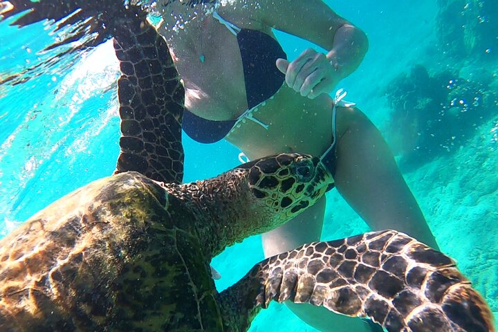 Full-Day Exclusive Private Tour to Nosy Tanikely Marine Reserve