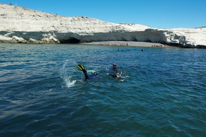Snorkeling with Sea Lions and Wildlife Adventure