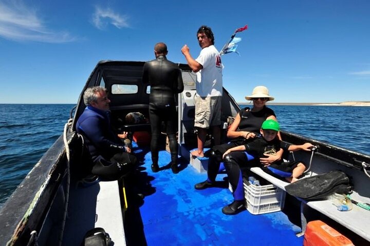 Snorkeling with Sea Lions and Wildlife Adventure