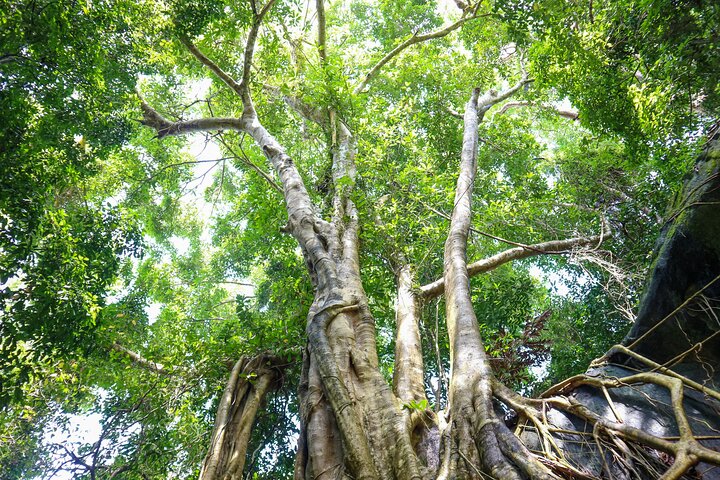 Trekking Tien Son Dinh Phu Quoc