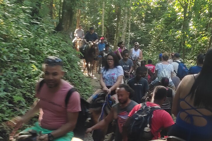 Samana Key Levantado Limon Waterfall Horse