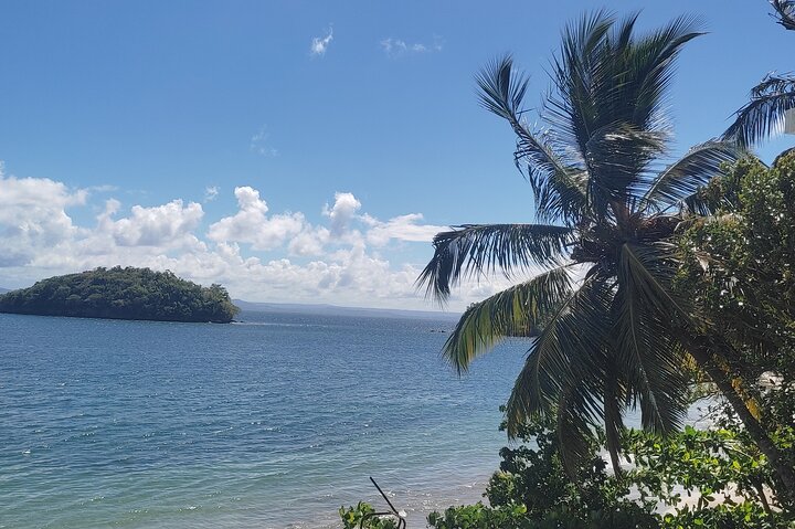 Samana Key Levantado Limon Waterfall Horse