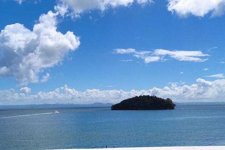 Samana Key Levantado Limon Waterfall Horse