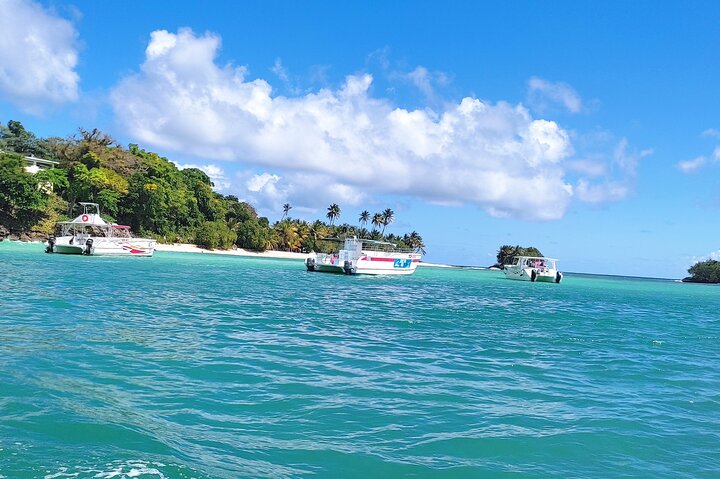 Samana Key Levantado Limon Waterfall Horse