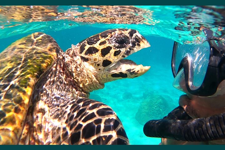 Full-Day Exclusive Private Tour to Nosy Tanikely Marine Reserve