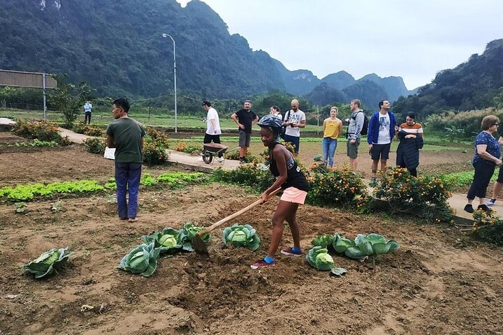 LEADING: All inclusive 3D/2N on cruises in HALONG - many options