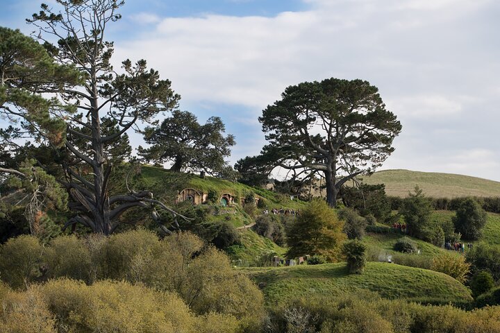 Hobbiton Day Tour from Rotorua with lunch at Hobbiton