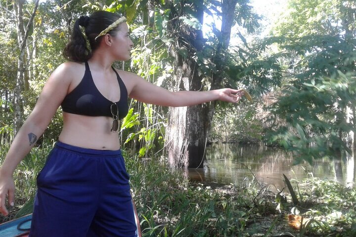 Amazon Negro River Half-Day Expedition Tour