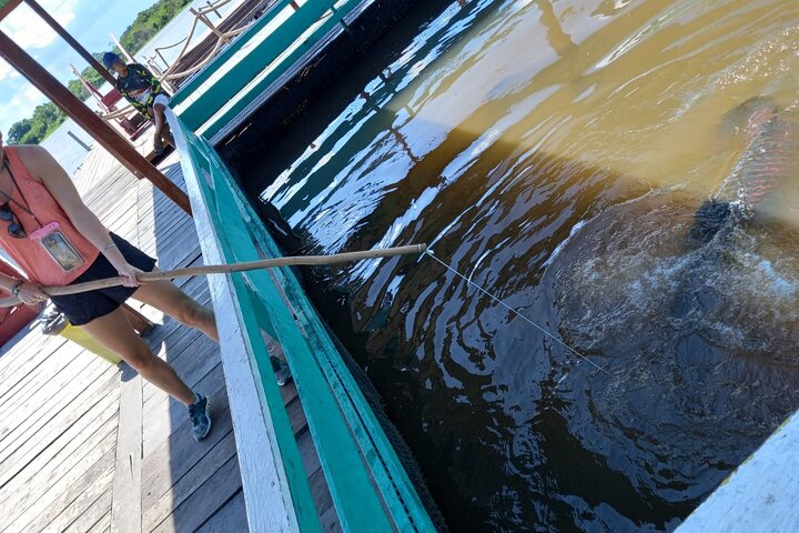 Amazon Negro River Half-Day Expedition Tour