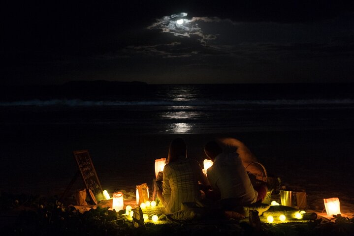 Private Picnic on Bombinhas Beach with Photos