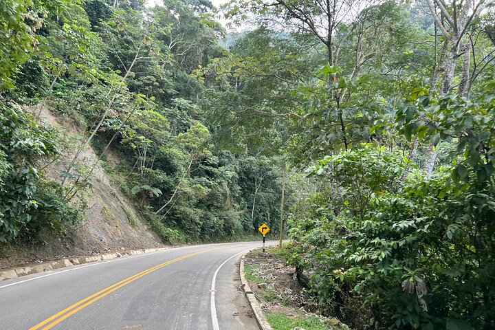 AHUASHIYACU WATERFALL + Viewpoint + Natural Pool – Tarapoto