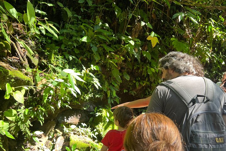 AHUASHIYACU WATERFALL + Viewpoint + Natural Pool – Tarapoto