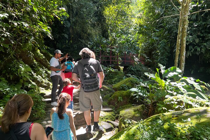 AHUASHIYACU WATERFALL + Viewpoint + Natural Pool – Tarapoto