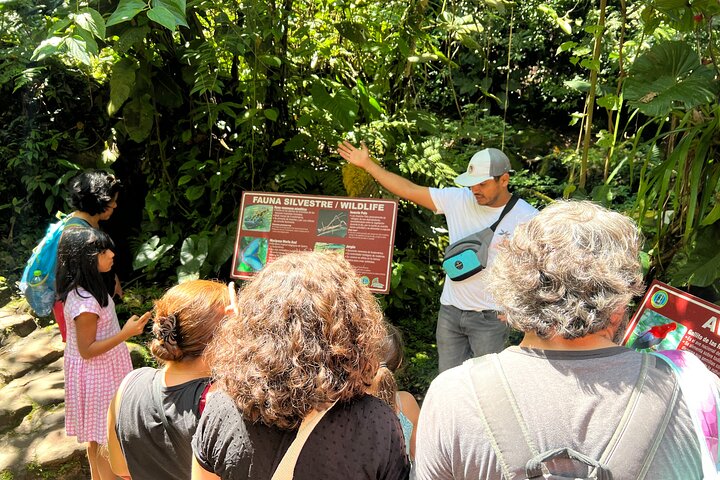 AHUASHIYACU WATERFALL + Viewpoint + Natural Pool – Tarapoto