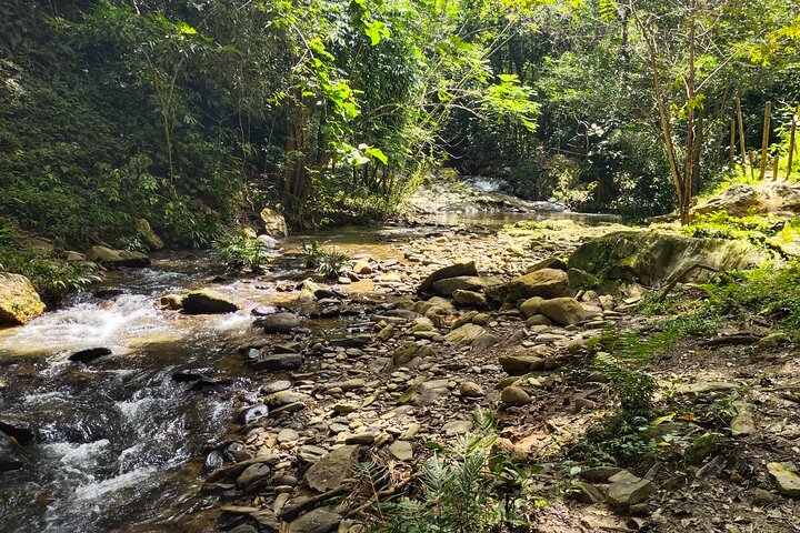 Hiking through Falan's ruins, ecotourism, river and canopy.