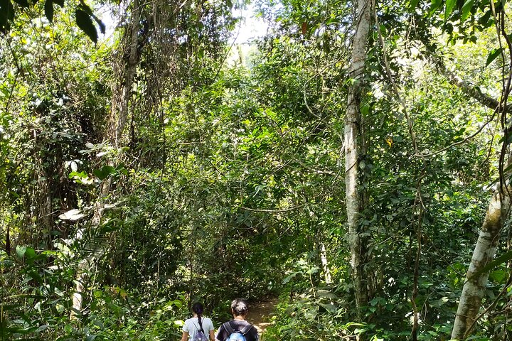 Hiking through Falan's ruins, ecotourism, river and canopy.