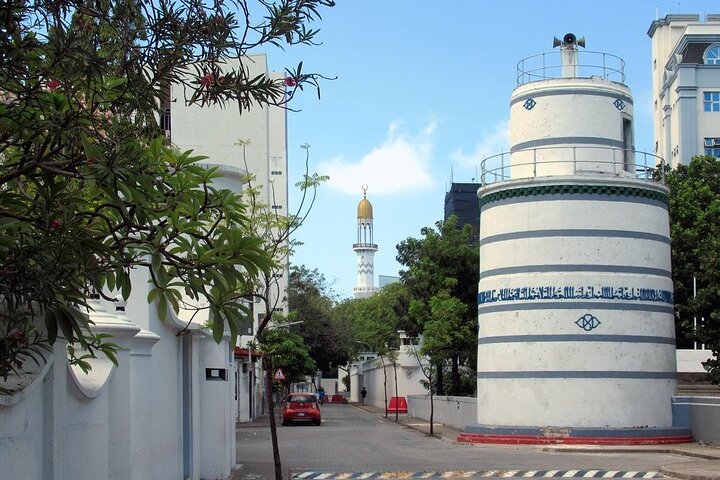 Private Male City Walking Tour with optional Vilimale tour