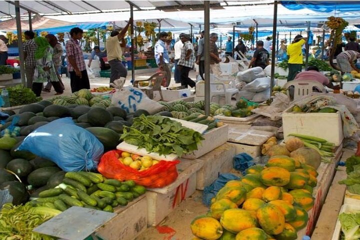 Private Male City Walking Tour with optional Vilimale tour