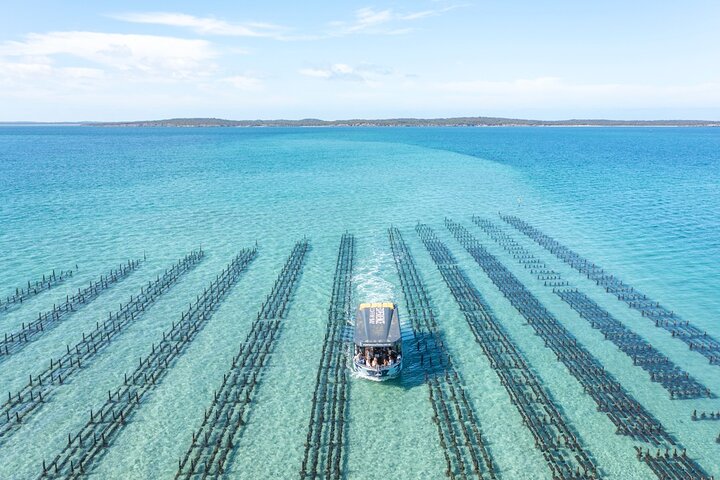 Experience Coffin Bay Oyster Farm and Bay Tour
