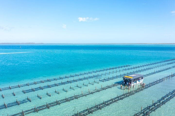 Experience Coffin Bay Oyster Farm and Bay Tour