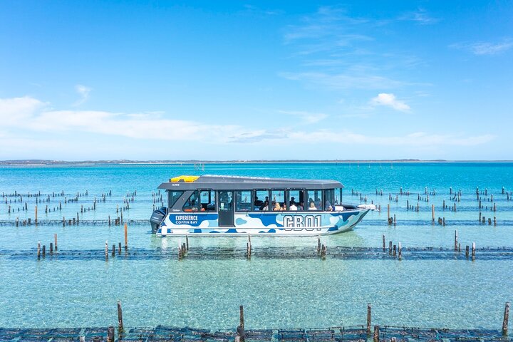 Experience Coffin Bay Oyster Farm and Bay Tour