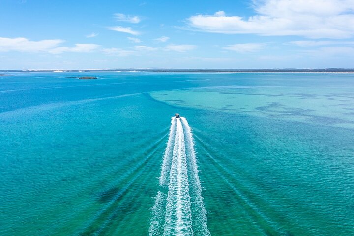 Experience Coffin Bay Oyster Farm and Bay Tour