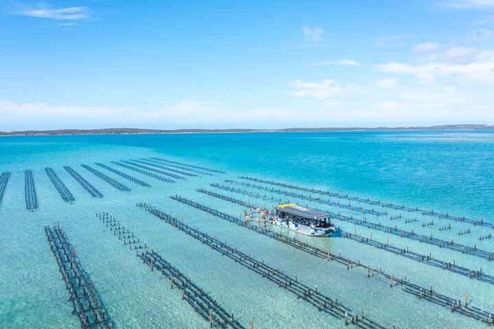 Experience Coffin Bay Oyster Farm and Bay Tour