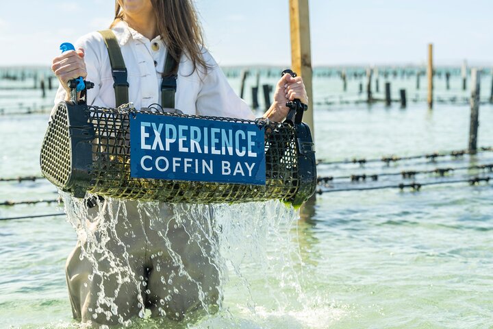 Experience Coffin Bay Oyster Farm and Bay Tour