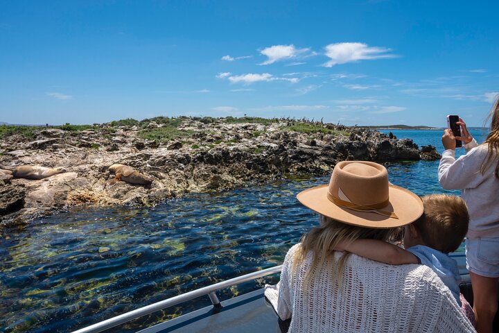 Experience Coffin Bay Oyster Farm and Bay Tour
