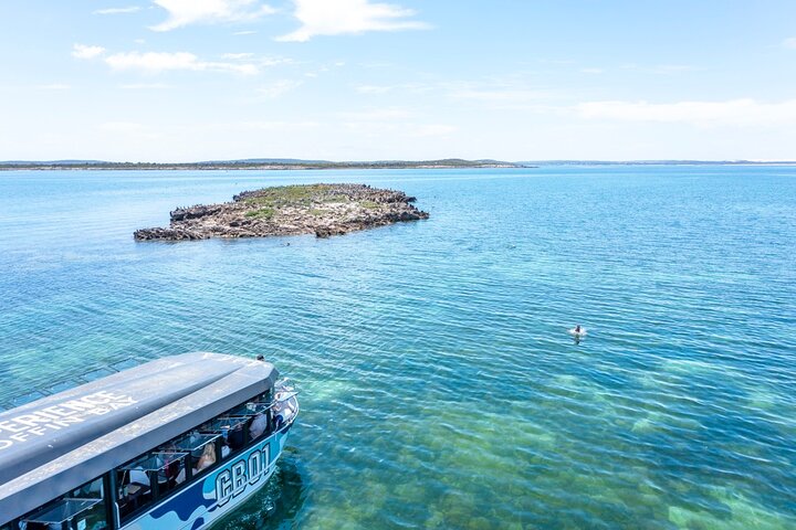 Experience Coffin Bay Oyster Farm and Bay Tour