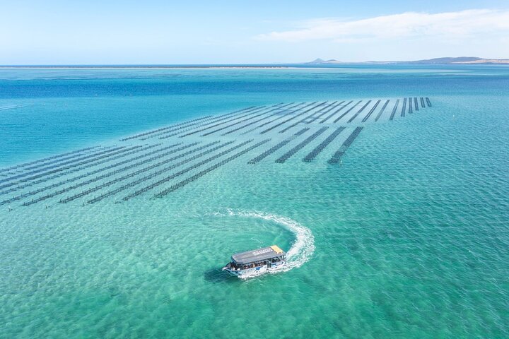 Experience Coffin Bay Oyster Farm and Bay Tour