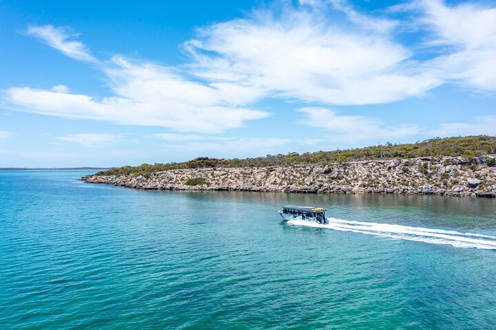 Experience Coffin Bay Short and Sweet Oyster Farm Tour