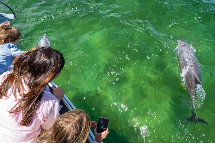 Experience Coffin Bay Short and Sweet Oyster Farm Tour