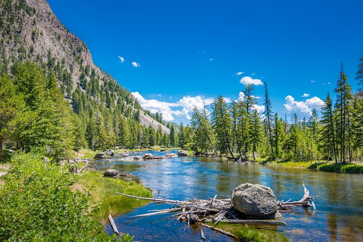 Yellowstone National Park Self-Guided Driving Audio Tour