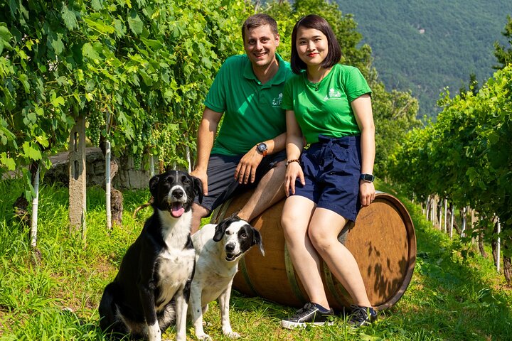 Savor Ossola Wines & Local Treats in a Scenic Vineyard