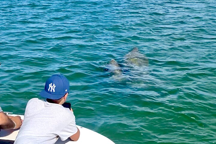 Private Shelling and Dolphin Excursion