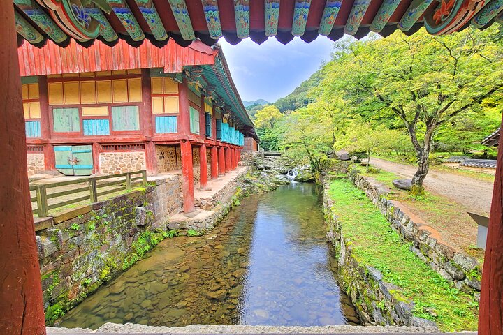 Suncheon one day tour from Seoul, Busan or Suncheon