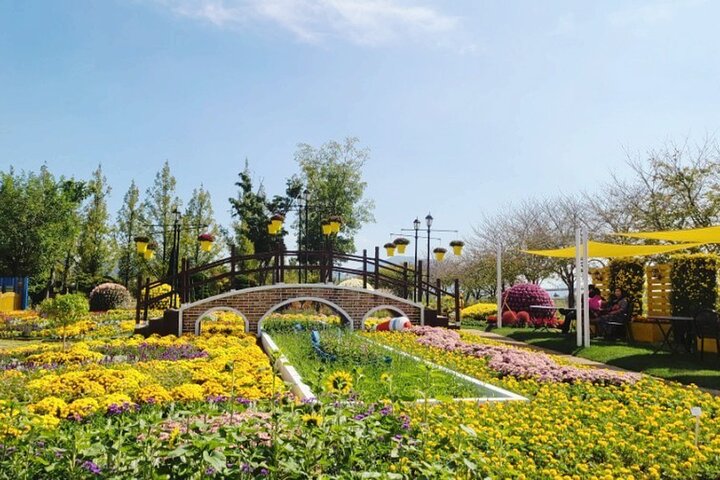Suncheon one day tour from Seoul, Busan or Suncheon